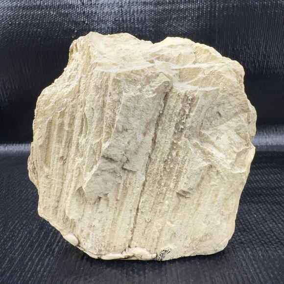 Trout Jumping Out Of The Water To Catch A Insect On Rock Style Resin Figurine - Picture 8 of 8